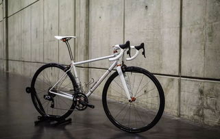 自行車中的工藝品 2019北美手工車展 一